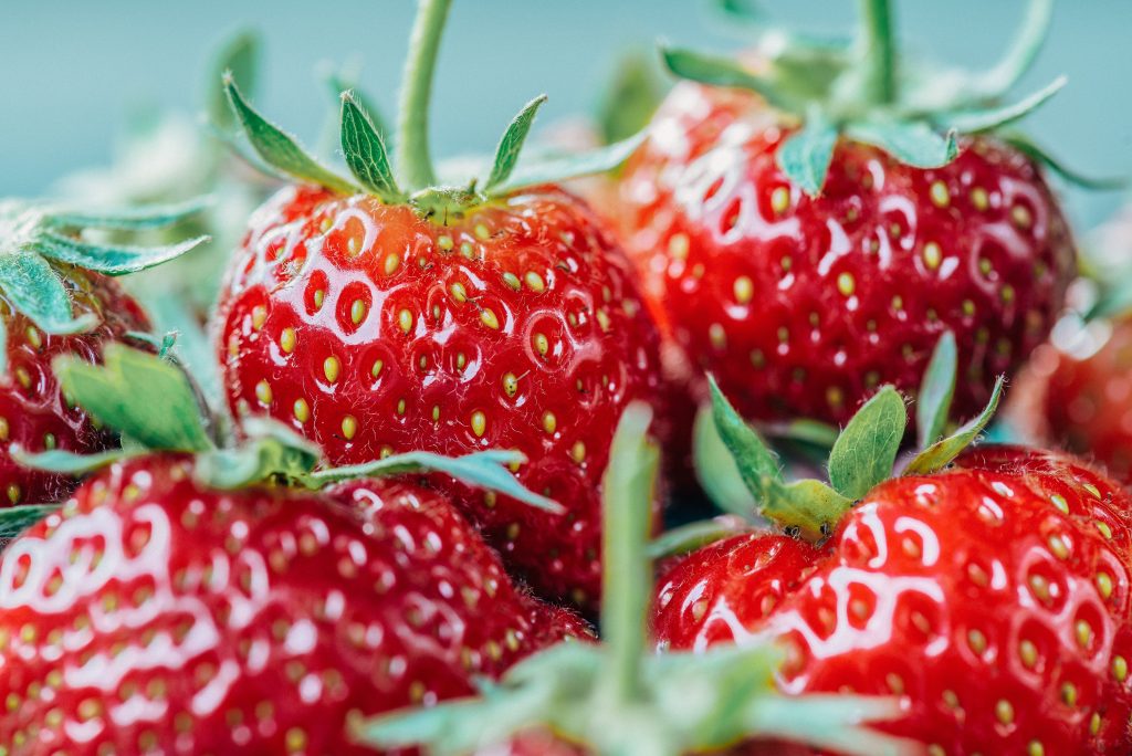 Belles fraises rouges